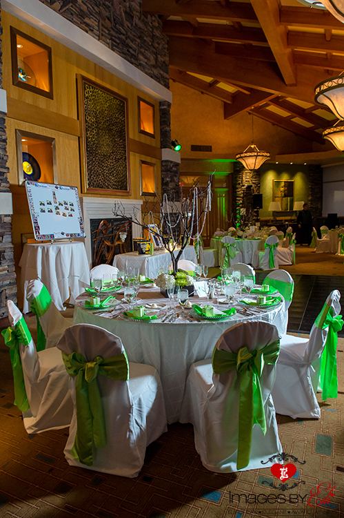 Images By Edi Captures Bella Tyler S Green Themed Wedding At