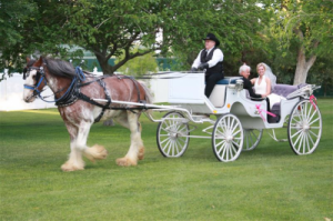 horse-drawn carriage with bride and father