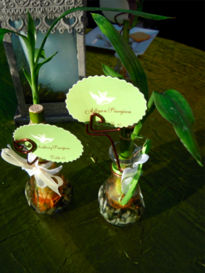 bamboo plants in glass vases with cards attached