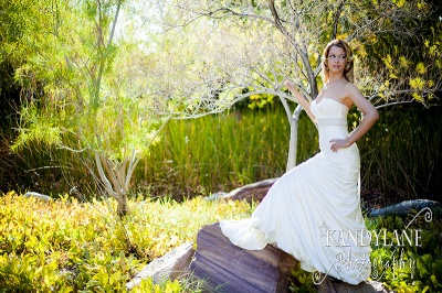 The Springs Preserve Inspires a Whimsical Wedding Dream Come,TrueBowties Bridal and Tuxedos David's Bridal Culinary Arts Catering Current Events Rentals Enchanted Florist Hair'z Melinda Images by EDI Jovani Linens and Floral Design Kandylane Photography KMH Photography Paper and Home The Springs Preserve