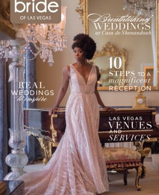 Click here to Read Spectacular Bride