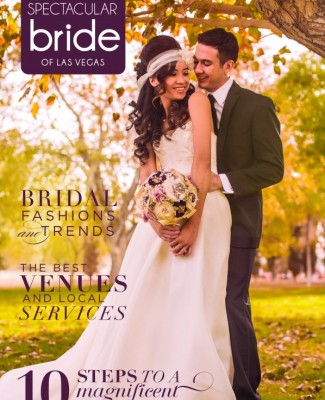 Click Here to Read Spectacular Bride Vol 25-2