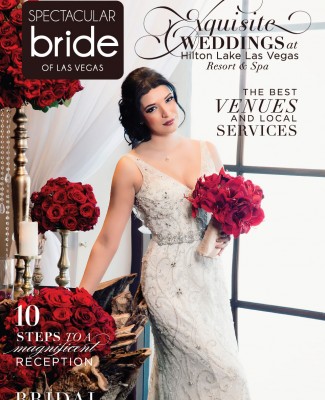 Click Here to Read Spectacular Bride Vol 26-3
