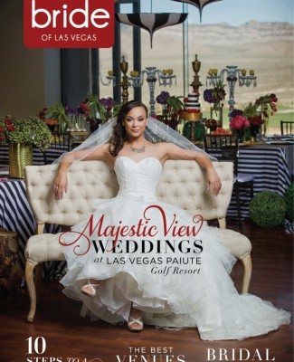 Click Here to Read Vol 26 Spectacular Bride #4