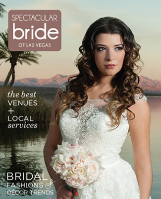 Click Here to Read Spectacular Bride Vol 24-1