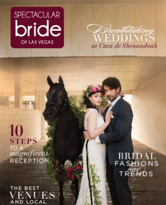 Click Here to Read Spectacular Bride Vol 28