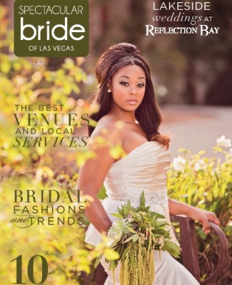 Click Here to Read Spectacular Bride Vol 25-1