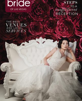 Spectacular Bride Vol 27-3 Click Here to Read
