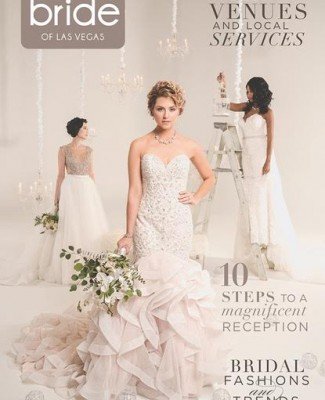 Click Here to Read Spectacular Bride Vol 27-2