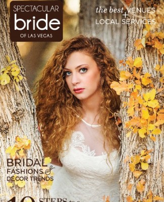 Click Here to Read  Spectacular Bride  Vol 24