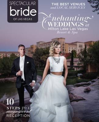 Click Here to Read Spectacular Bride Vol 26-1