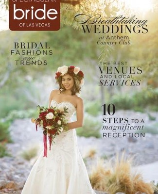 Click Here to Read Spectacular Bride Vol 27-1