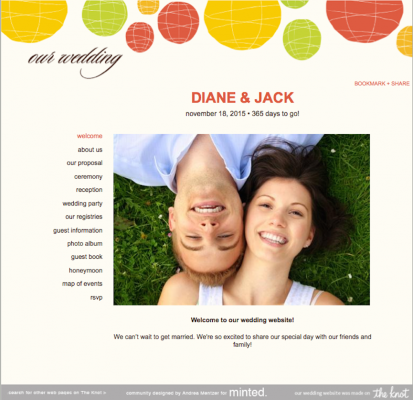 Wedding Website Example on TheKnot.com